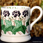 Emma Bridgewater Ivy ½ pint mug 