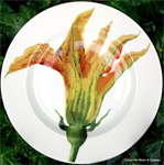 Emma Bridgewater, 6½ plate Courgette Flower