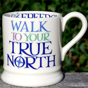 Emma Bridgewater True North ½ pint mug 